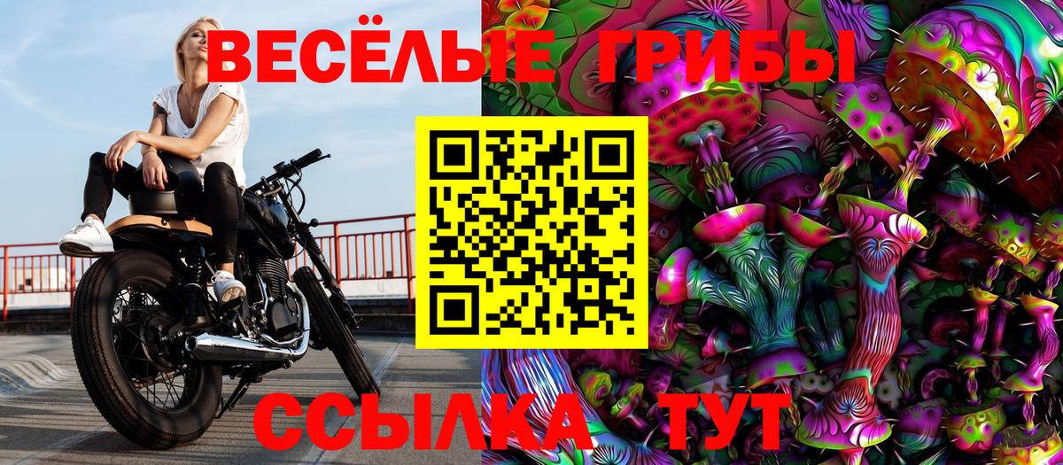 Владивосток  Псилоцибиновые грибы Magic Shrooms  Вход с VPN 