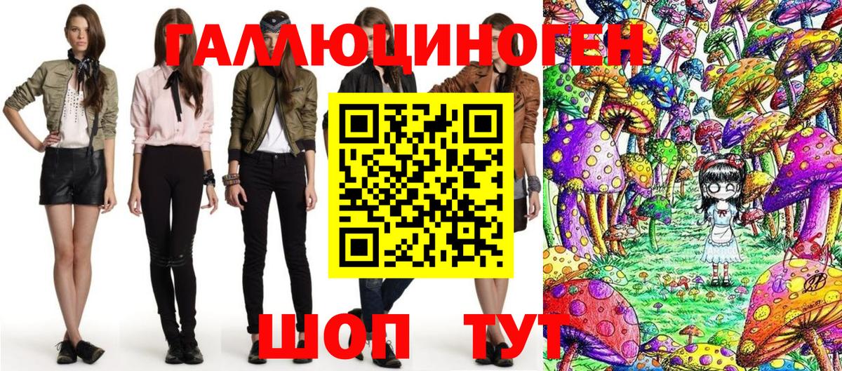 Псилоцибиновые грибы Psilocybe Владивосток